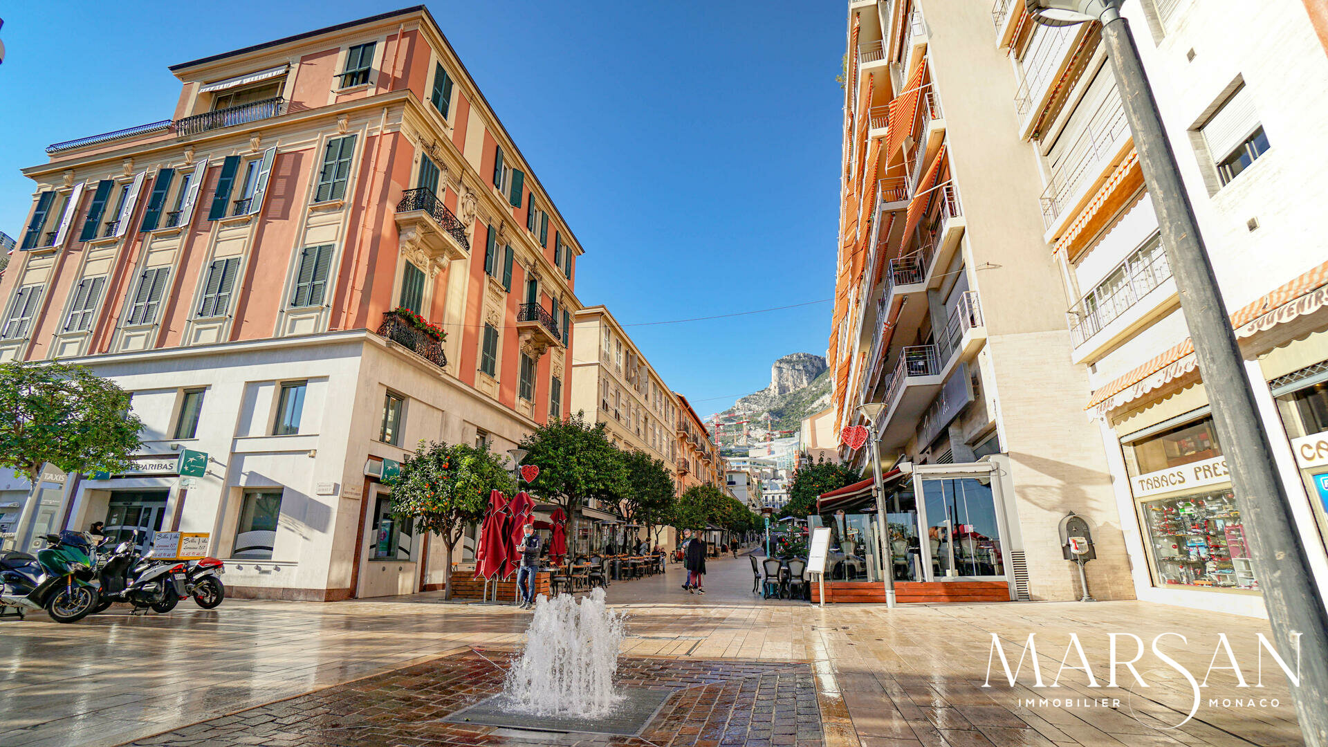 3 ROOM APARTMENT RENOVATED - CONADMINE