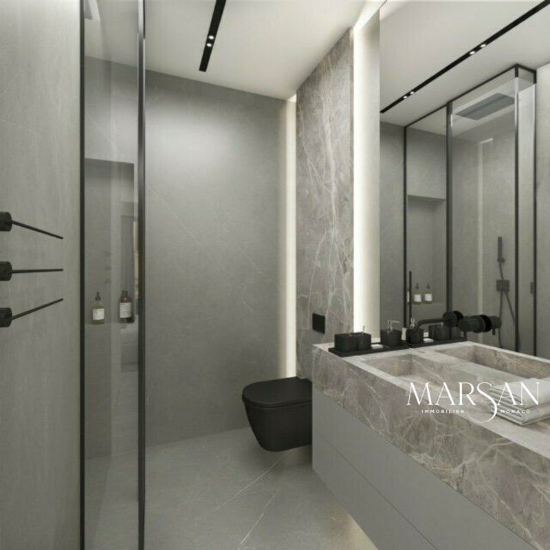 3 ROOM APARTMENT RENOVATED - CONADMINE