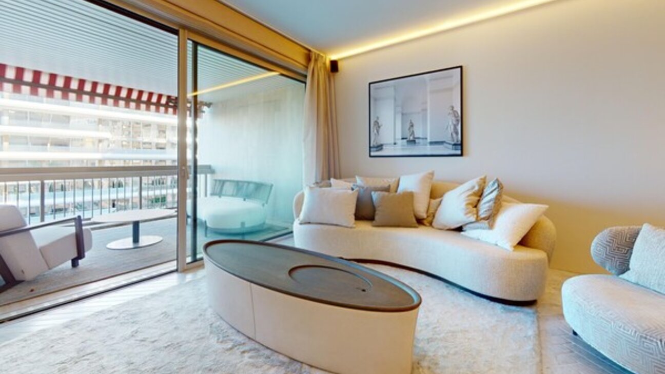 MAGNIFIQUE 3P MEUBLÉ ET RENOVÉ PARK PALACE