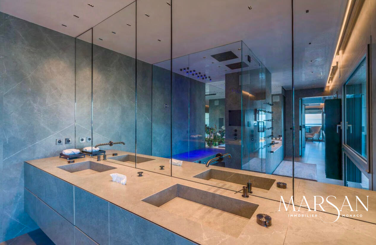 Exceptional apartment in Monte Carlo View - Rental